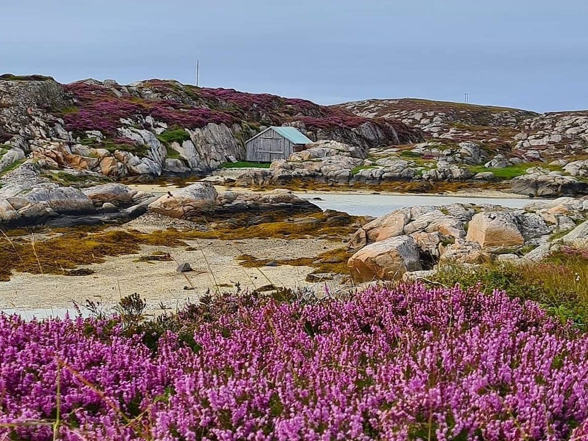 Sauøya i Frøyas skjærgård Øyrekka i Trøndelag, Froan