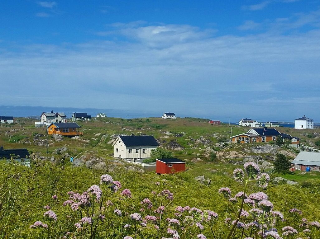 Sauøya i Frøyas skjærgård Øyrekka, Froan