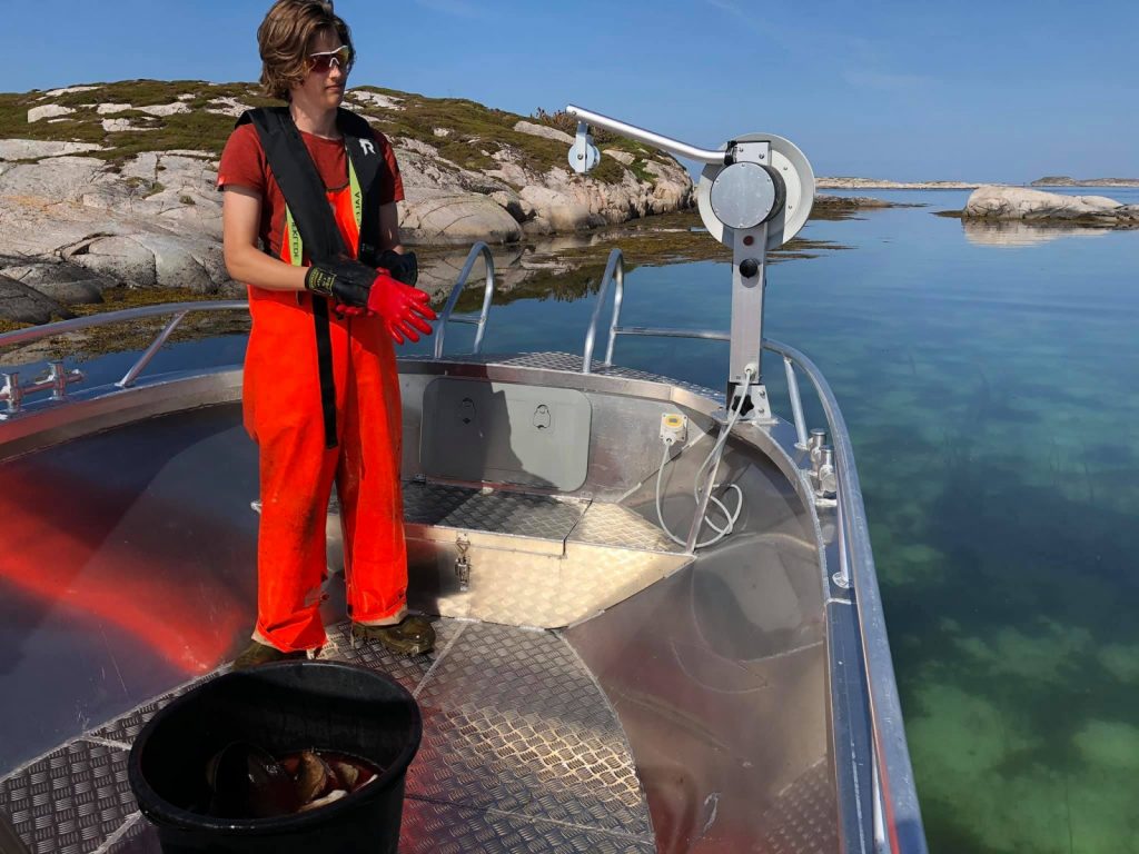 Fiske, sommer og sol i Frøyas skjærgård, Bogøya i Øyrekka