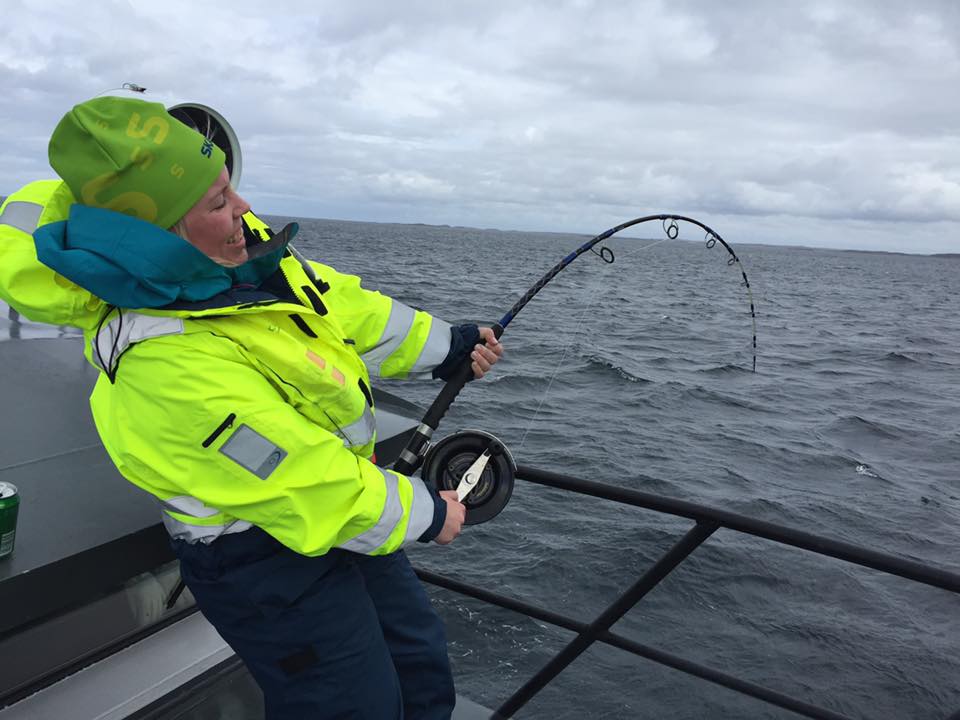 Øyhopping og havfiske i Frøyas skjærgård, Øyrekka på Trøndelagskysten