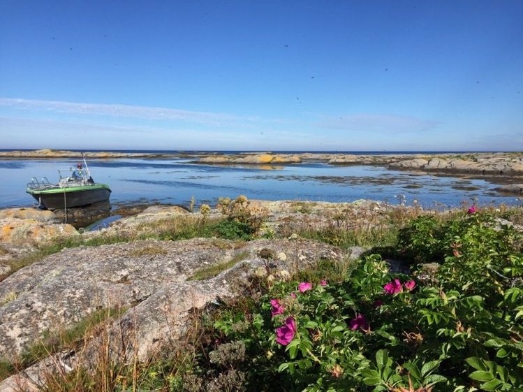 Lunsjstopp på en vakker holme i Frøyas skjærgård, Øyrekka