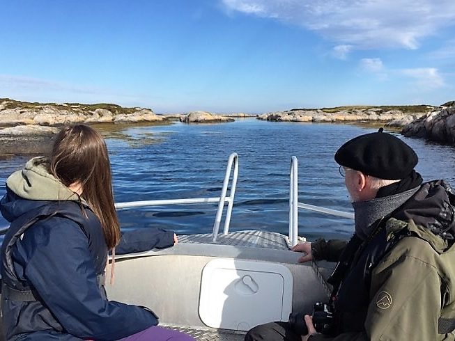 Øyhopping og skjærgårdssafari i Frøyas skjærgård på Trøndelagskysten