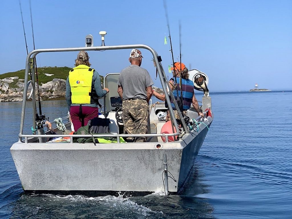 Havfiske i Frøyas skjærgård, Øyrekka på Trøndelagskysten