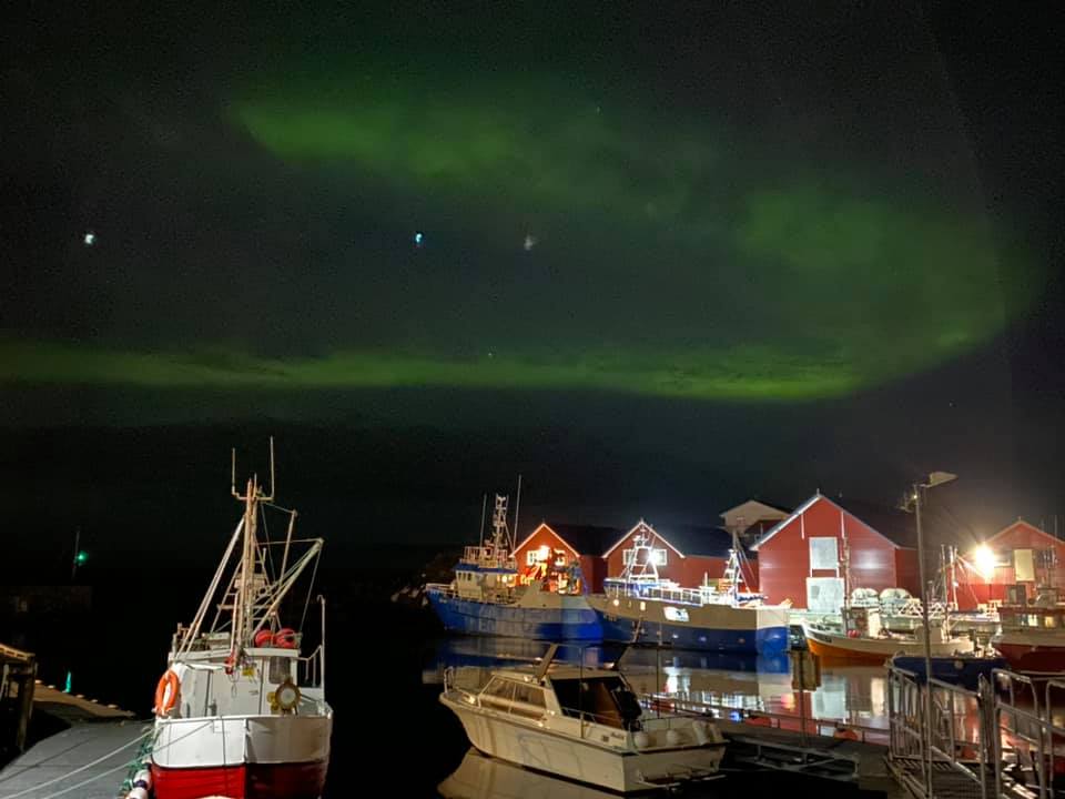 Nordlys og helårs kystopplevelser i Frøyas skjærgård, Øyrekka på Trøndelagskysten. Firmatur og gruppeturer.