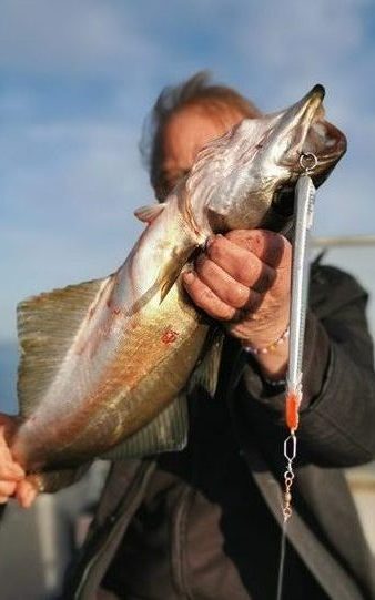 Informasjon om fiskeopplevelser i Frøyas skjærgård, Øyrekka. Sør på Trøndelagskysten.