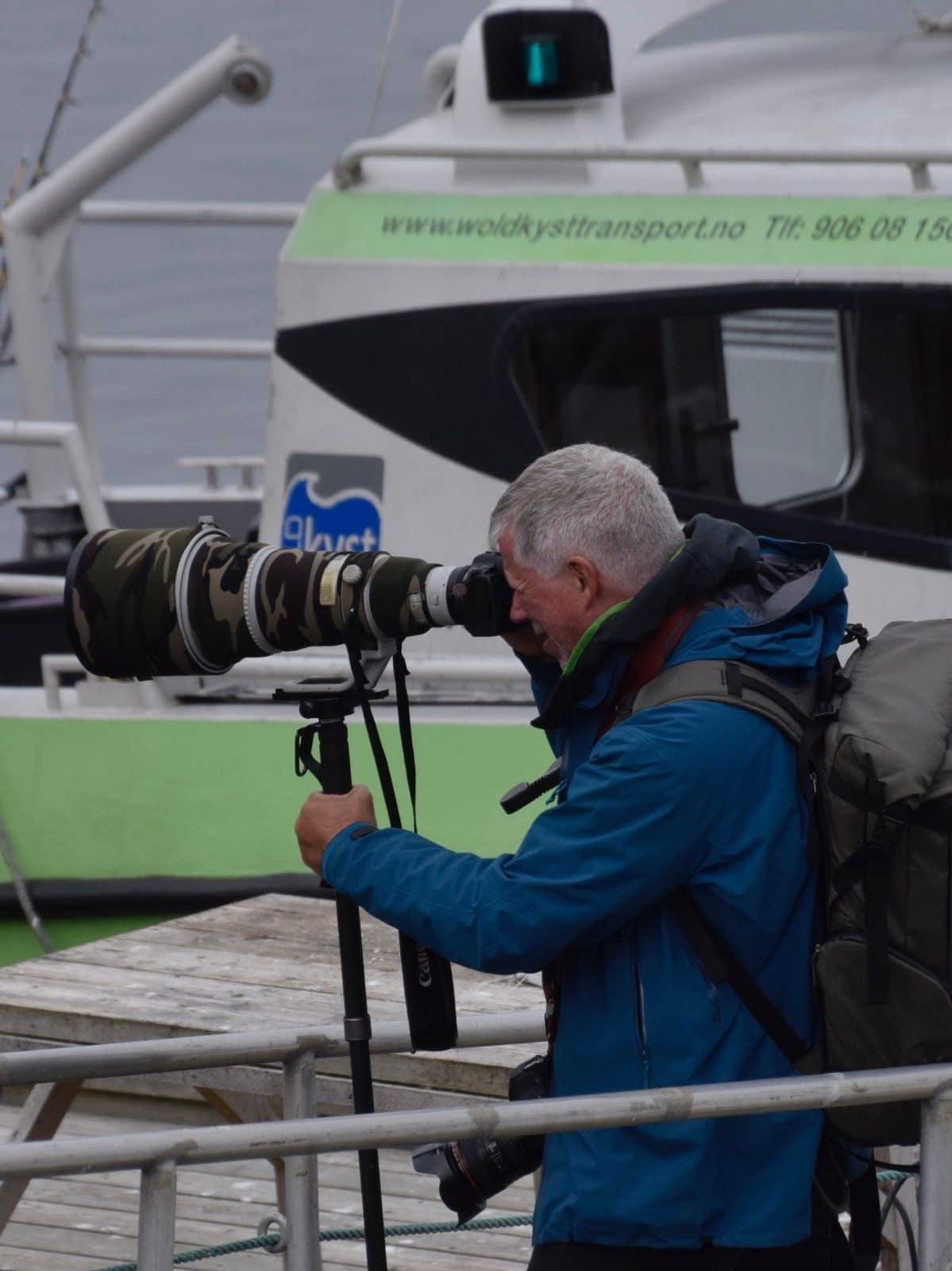 Dyre- og fugleopplevelser på Halten i Froan - bli med på fototur til Halten med Wold Kysttransport, Frøya