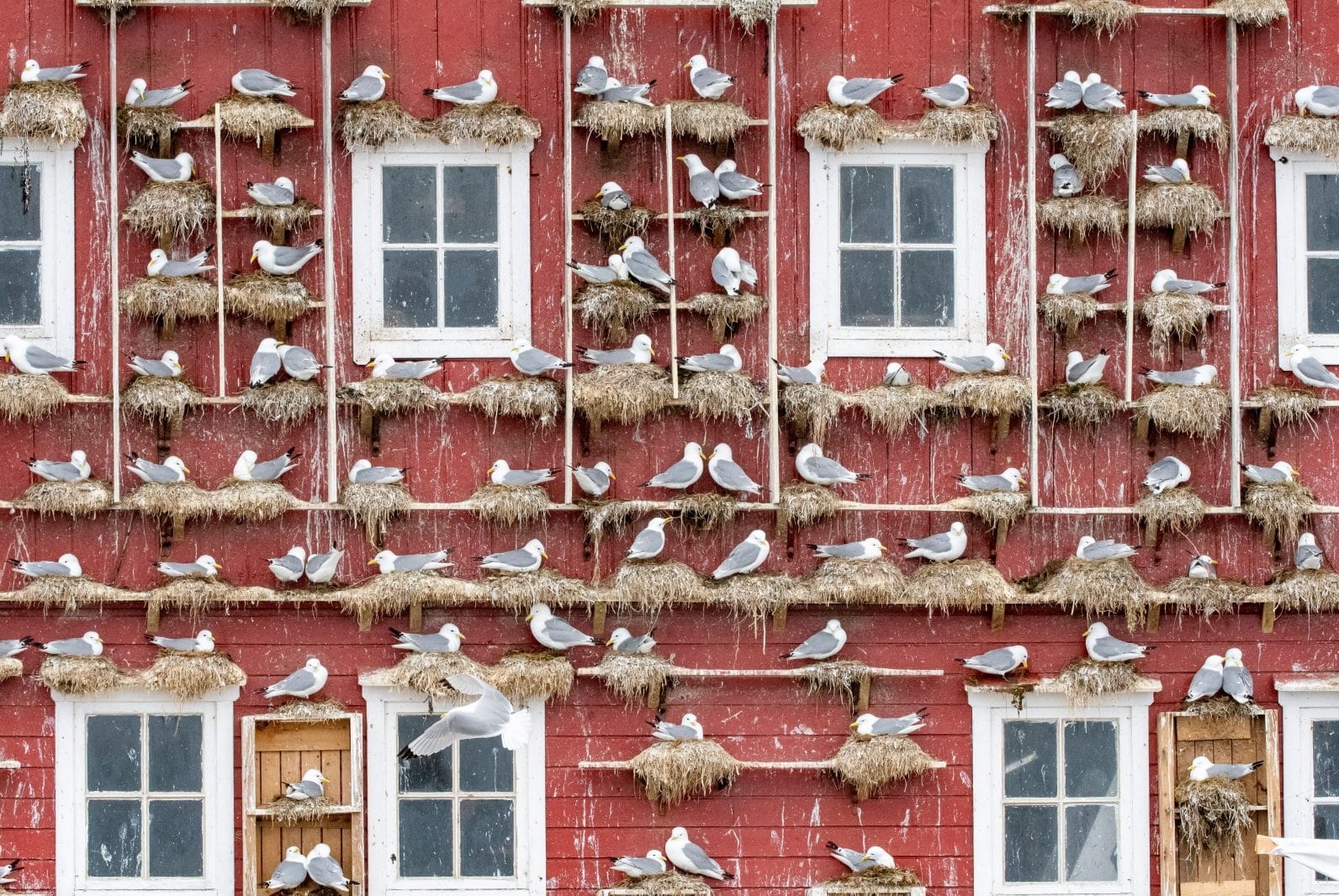 Opplevelser og overnatting i spektakulære omgivelser.