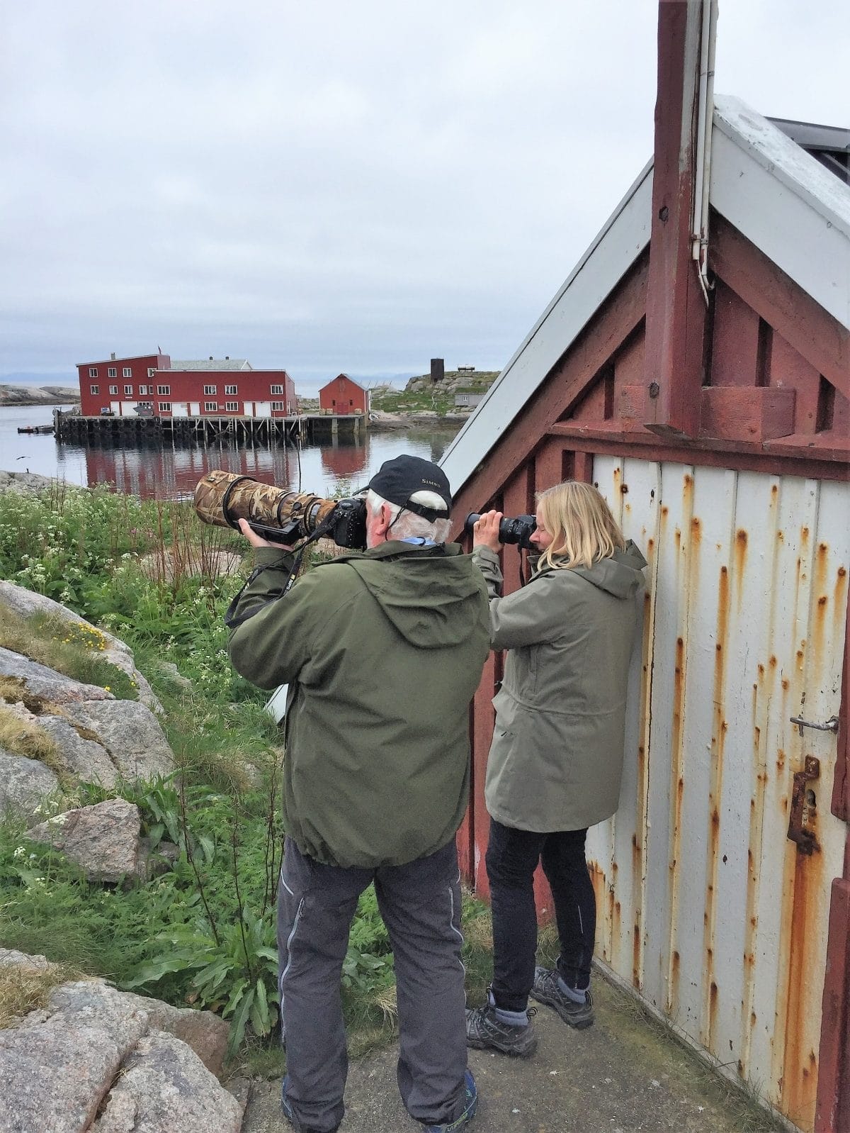 Dyre- og fugleopplevelser på Halten i Froan